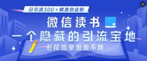 微信读书，一个隐藏的引流宝地，不为人知的小众打法，日引流300+精准创业粉，长尾流量源源不断| 鹿鸣网创