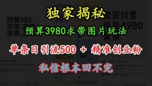 预算3980求带 图片玩法,单条日引流500+精准创业粉,私信根本回不完| 鹿鸣网创