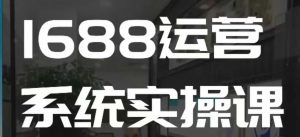 1688高阶运营系统实操课,快速掌握1688店铺运营的核心玩法| 鹿鸣网创