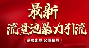 最新“流量池”无门槛暴力引流(全网首发)日引500+| 鹿鸣网创