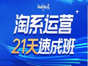 淘系运营21天速成班35期，年前最后一波和2025方向| 鹿鸣网创