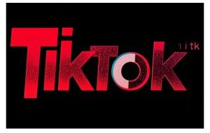 TikTok ads投流秘籍,涵盖tiktok整体投放思路,教你搭建测试计划| 鹿鸣网创