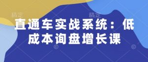 直通车实战系统:低成本询盘增长课,让个人通过技能实现升职加薪,让企业低成本获客,订单源源不断| 鹿鸣网创