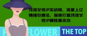 顶流女性IP实战班，流量上亿情绪引爆法，深度打磨顶流女性IP硬核基本功| 鹿鸣网创