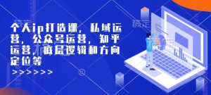 个人ip打造课,私域运营,公众号运营,知乎运营,底层逻辑和方向定位等| 鹿鸣网创