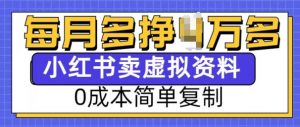小红书虚拟资料项目，0成本简单复制，每个月多挣1W【揭秘】| 鹿鸣网创