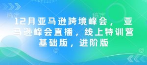 12月亚马逊跨境峰会, 亚马逊峰会直播,线上特训营基础版,进阶版| 鹿鸣网创