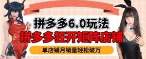 拼多多虚拟商品暴利6.0玩法,轻松实现月入过W| 鹿鸣网创
