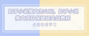 知乎小说推文怎么玩，知乎小说推文项目保姆级实战教程| 鹿鸣网创