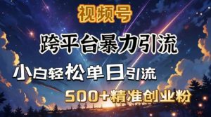 跨平台暴力引流，私域完美闭环，日引500+精准创业粉| 鹿鸣网创