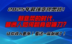 2025年最强变现思路,割韭菜的时代, 普通人如何翻身做镰刀?【揭秘】| 鹿鸣网创