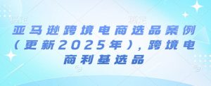 亚马逊跨境电商选品案例(更新2025年2月)，跨境电商利基选品| 鹿鸣网创