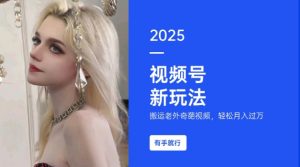 搬运老外奇葩视频，撸视频号分成计划收益，每天只需一小时，新手小白轻松月入过W| 鹿鸣网创