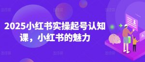 2025小红书实操起号认知课，小红书的魅力| 鹿鸣网创