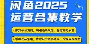 2025闲鱼电商运营全集,2025最新咸鱼玩法| 鹿鸣网创