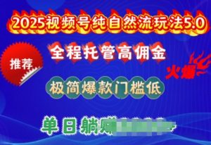 2025视频号纯自然流玩法5.0,全程托管高佣金,极简爆款门槛低,单日收益多张【揭秘】| 鹿鸣网创
