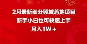 2月最新细分领域落地项目，新手小白也可快速上手，月入1W| 鹿鸣网创