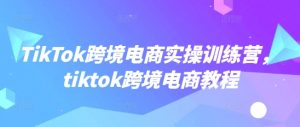TikTok跨境电商实操训练营,tiktok跨境电商教程| 鹿鸣网创