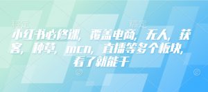 小红书必修课，覆盖电商，无人，获客，种草，mcn，直播等多个板块，看了就能干| 鹿鸣网创