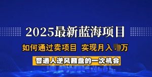 2025蓝海项目，普通人如何通过卖项目，实现月入过W，全过程【揭秘】| 鹿鸣网创