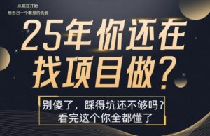 25年，你还在疯狂的找项目吗？别傻了，看完这个你都懂了【揭秘】| 鹿鸣网创