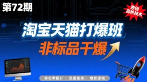 淘宝天猫打爆班原创高阶技术第72期,非标品干爆| 鹿鸣网创