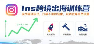 Ins跨境出海训练营,实战驱动玩法,打破不涨粉怪象,玩转社媒自然流量| 鹿鸣网创