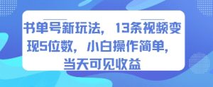 书单号新玩法,13条视频变现5位数,小白操作简单,当天可见收益| 鹿鸣网创