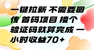 一键拉新 不需要回传 首码项目 接个验证码就算完成 一小时收益70+【揭秘】| 鹿鸣网创