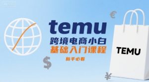 temu跨境电商小白基础入门课程，新手必看| 鹿鸣网创