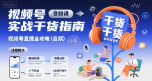 视频号实战干货指南,视频号直播全攻略(音频)| 鹿鸣网创