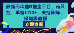 最新阅读挂G撸金平台,无风控,单窗口70+,支持矩阵,保姆级教程【揭秘】| 鹿鸣网创
