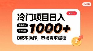 在小红书上发现个冷门路子，需求不小，零成本操作，每天能有1k进账| 鹿鸣网创