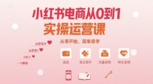 小红书电商从0到1实操运营课,从零开始,简单易学| 鹿鸣网创