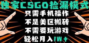 CSGO自动捡漏项目,最新独家玩法,不是美区搬砖,不需要了解和玩游戏,新手小白轻松月入1W+【揭秘】| 鹿鸣网创