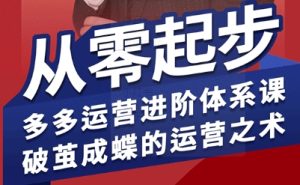 拼多多运营进阶系统课，从零起步，多多运营进阶体系课，破茧成蝶的运营之术| 鹿鸣网创