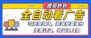 全自动看广告项目,可无限放大,可矩阵批量操作| 鹿鸣网创