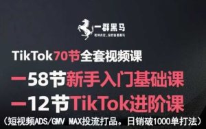 TikTok全套视频课，新手入门+进阶课，短视频ADS-GMV MAX投流打品，日销破1000单打法| 鹿鸣网创