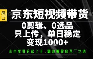 你出账号,我来运营,保底日入1k+,开启躺賺模式【揭秘】| 鹿鸣网创