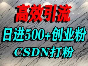 怎么打创业粉?CSDN又一个你不知道的打粉引流神秘平台,单人日引500+精准流量| 鹿鸣网创