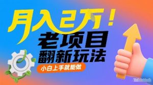 月入2W！老项目翻新玩法，小白上手就能做，非常容易上手| 鹿鸣网创