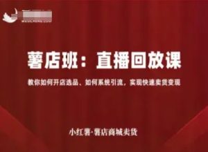 小红薯薯店商城卖货直播回放课，教你如何开店选品、如何系统引流，实现快速卖货变现| 鹿鸣网创