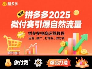拼多多2025微付赛引爆自然流量，拼多多电商运营教程，运营、推广、打爆品、微付费| 鹿鸣网创