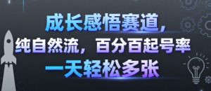 成长感悟赛道，纯自然流，百分百起号率 一天轻松多张| 鹿鸣网创