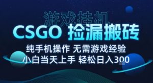 8月最新游戏搬砖，CSGO纯挂G，不需要玩游戏，实现真挂G，月入1W+【揭秘】| 鹿鸣网创