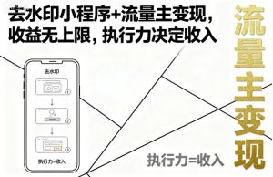 去水印小程序+流量主变现，收益无上限，执行力决定收入| 鹿鸣网创