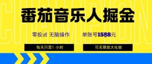 番茄音乐人掘金,单账号最高可撸1k+,可无限矩阵去做,零投入| 鹿鸣网创