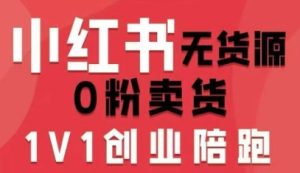 小红书无货源0粉电商课,开店准备、选品策略、笔记撰写、视频剪辑、数据分析、账号打造、资料文档| 鹿鸣网创
