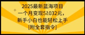 2025最新蓝海项目一个月变现1w+新手小白也能轻松上手【附全套指令】| 鹿鸣网创