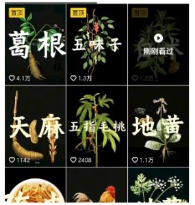 抖音中草药赛道,用AI做中草药故事视频,45条作品涨粉13W,橱窗带货猛猛出单| 鹿鸣网创